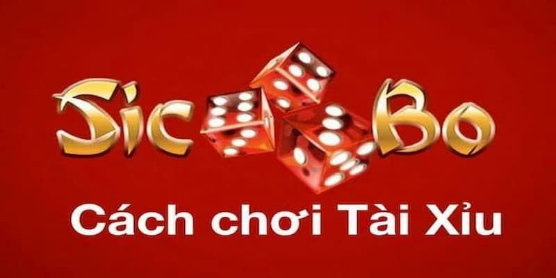 Cần có một tinh thần vững vàng khi đầu tư sicbo online